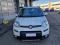 preview Fiat Panda #5