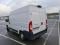 preview Fiat Ducato #1