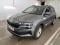 preview Skoda Karoq #0