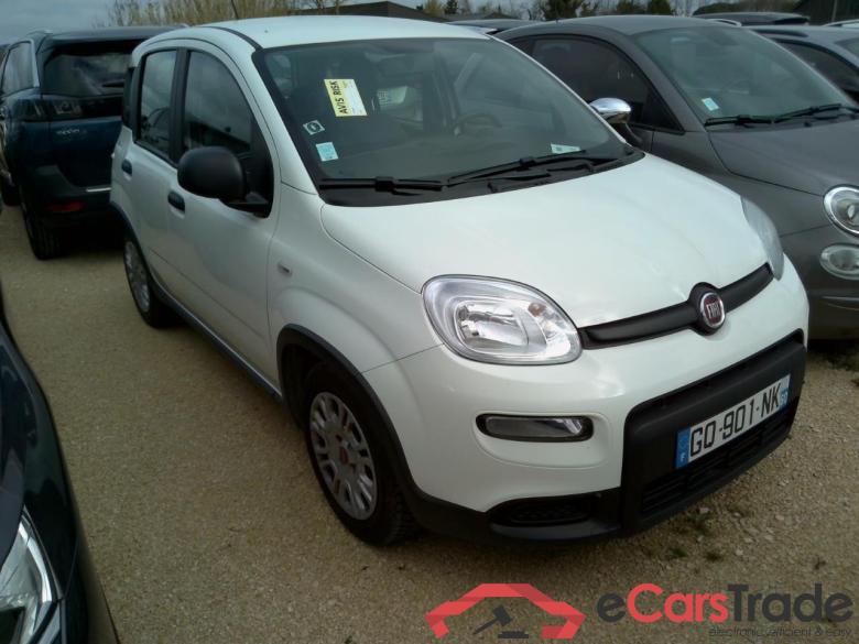 PANDA 1.0 70CV #1