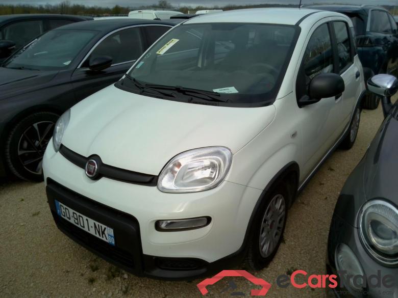 PANDA 1.0 70CV #2