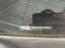 preview MG ZS #5