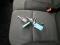 preview Renault Trafic #3