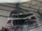 preview Ford Mondeo #4