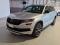 preview Skoda Kodiaq #0