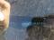 preview Ford Transit Custom #4