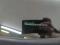 preview Volkswagen Golf #2