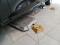 preview Skoda Octavia #4