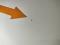 preview Peugeot Partner #4