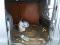 preview Renault Trafic #5