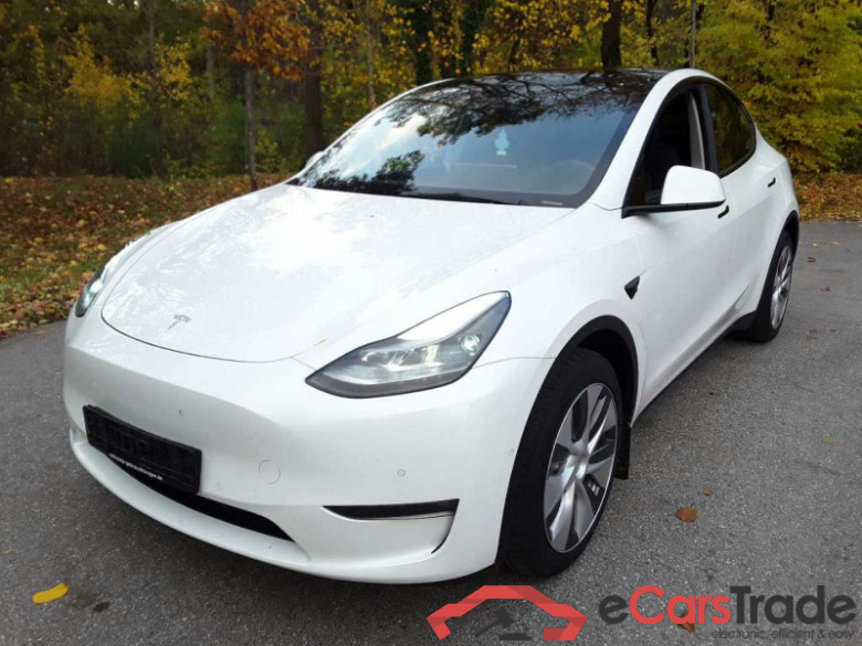 Tesla Model Y (01.2021->), Dual, Maximale Reichweite Dual AWD, 2021 - 2025 #1