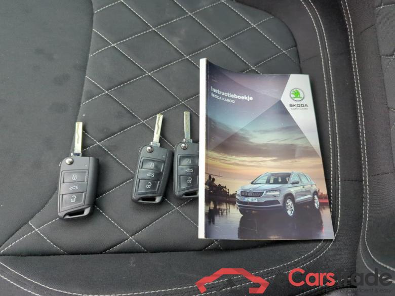 SKODA Karoq 110 kW #6