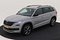 preview Skoda Kodiaq #0