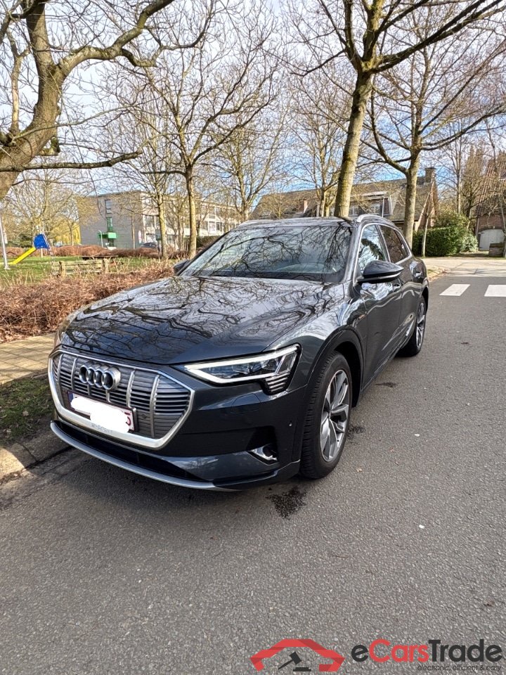 Audi E-tron 50 Quattro Advanced Aut. Pano LED-Matrix Virtual Navi-Pro Leather KeylessGo Klima PDC ...