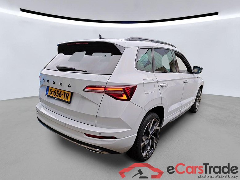 SKODA Karoq 110 kW #6
