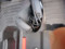 preview Ford Puma #5