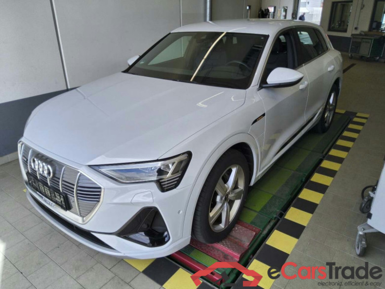 Audi e-tron (GEN)(01.2019->) DE - SUV5 50 quattro, S line, 2019 - 2023