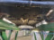 preview Opel Mokka #4