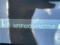 preview Ford Focus #3