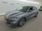 preview Ford Mustang Mach-E #0