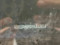 preview Opel Corsa #5