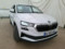 preview Skoda Karoq #3
