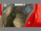 preview Peugeot 208 #4