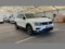 preview Volkswagen Tiguan #1