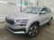 preview Skoda Karoq #0