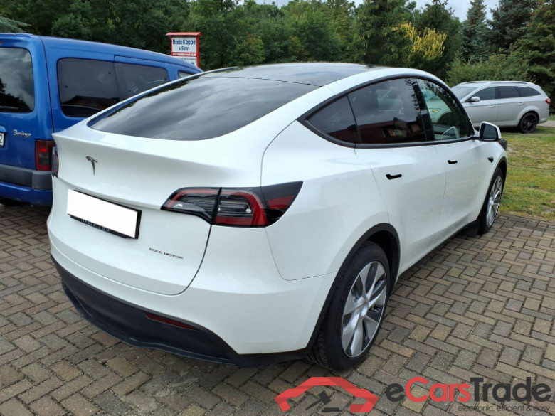 TESLA Model Y  #3