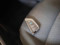 preview BMW 116 #5