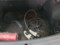 preview MG ZS #3