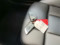 preview BMW i4 #3