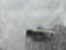 preview Nissan Other #5