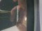 preview Peugeot 308 #2