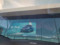 preview Toyota C-HR #3