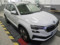 preview Skoda Karoq #1